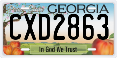 GA license plate CXD2863