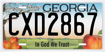 GA license plate CXD2867