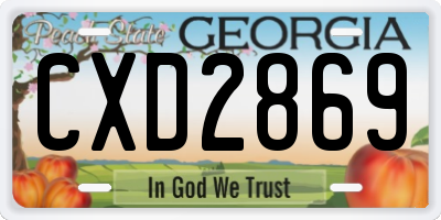 GA license plate CXD2869