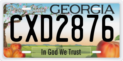 GA license plate CXD2876