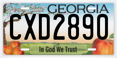 GA license plate CXD2890