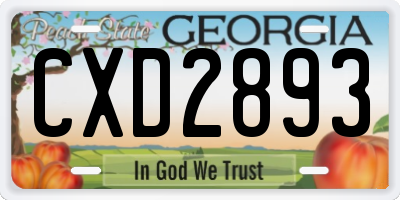 GA license plate CXD2893