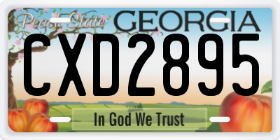 GA license plate CXD2895