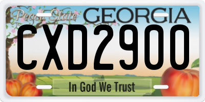 GA license plate CXD2900