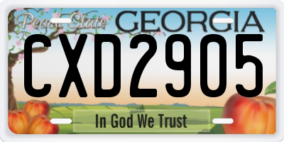 GA license plate CXD2905
