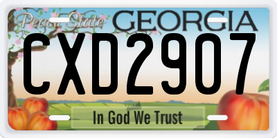 GA license plate CXD2907