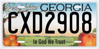 GA license plate CXD2908