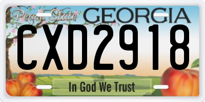 GA license plate CXD2918