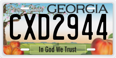 GA license plate CXD2944