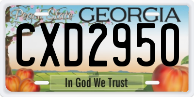 GA license plate CXD2950