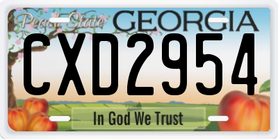 GA license plate CXD2954