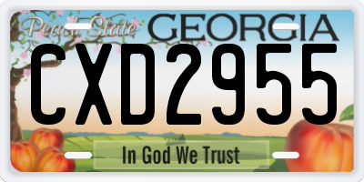GA license plate CXD2955