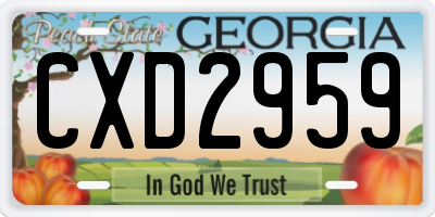 GA license plate CXD2959