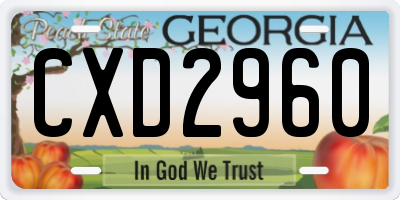 GA license plate CXD2960