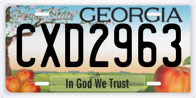 GA license plate CXD2963