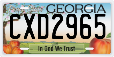 GA license plate CXD2965