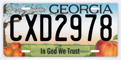 GA license plate CXD2978