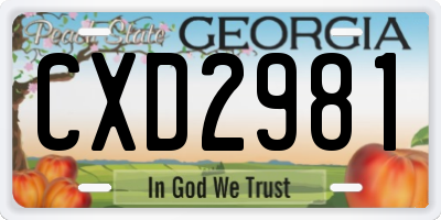 GA license plate CXD2981