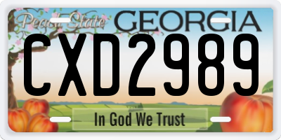 GA license plate CXD2989