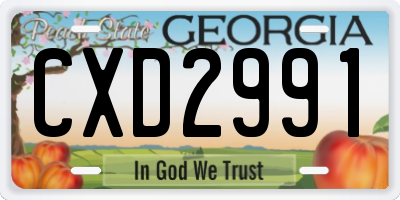 GA license plate CXD2991