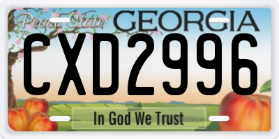 GA license plate CXD2996