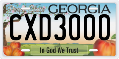 GA license plate CXD3000