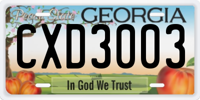 GA license plate CXD3003