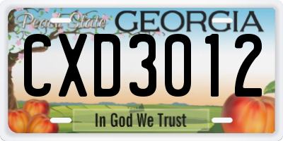 GA license plate CXD3012