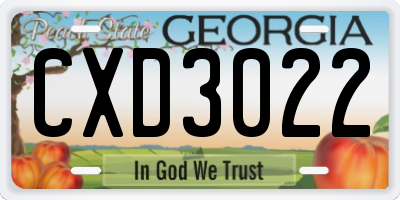 GA license plate CXD3022