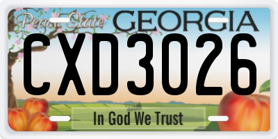 GA license plate CXD3026