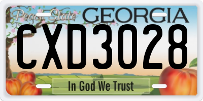 GA license plate CXD3028