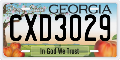 GA license plate CXD3029