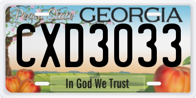 GA license plate CXD3033