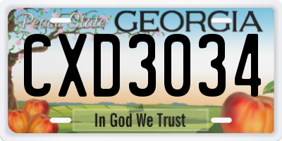 GA license plate CXD3034