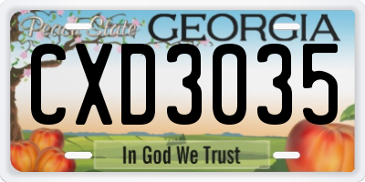 GA license plate CXD3035