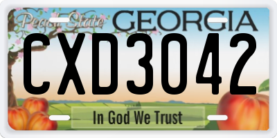 GA license plate CXD3042