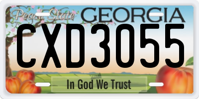 GA license plate CXD3055