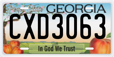 GA license plate CXD3063