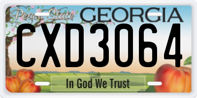 GA license plate CXD3064