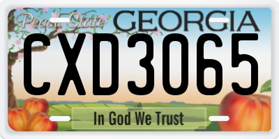 GA license plate CXD3065