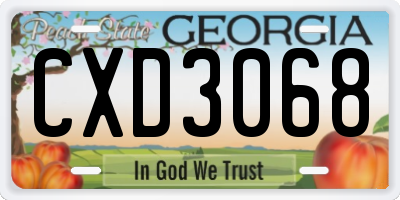 GA license plate CXD3068