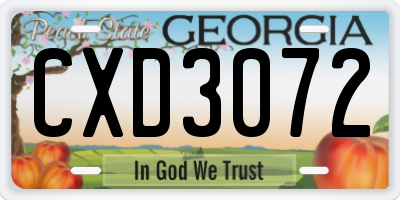 GA license plate CXD3072