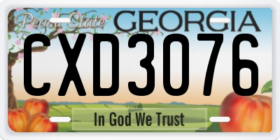 GA license plate CXD3076