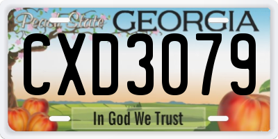 GA license plate CXD3079
