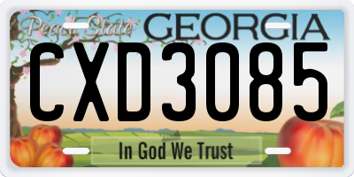 GA license plate CXD3085