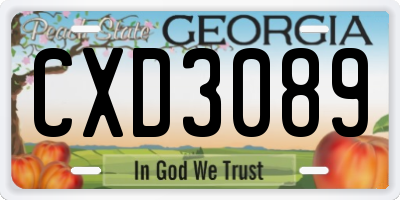 GA license plate CXD3089