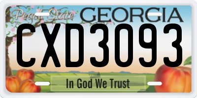 GA license plate CXD3093