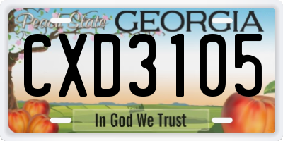 GA license plate CXD3105