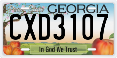 GA license plate CXD3107