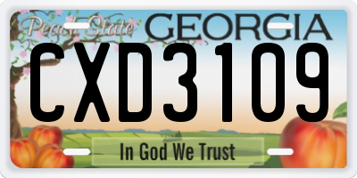 GA license plate CXD3109
